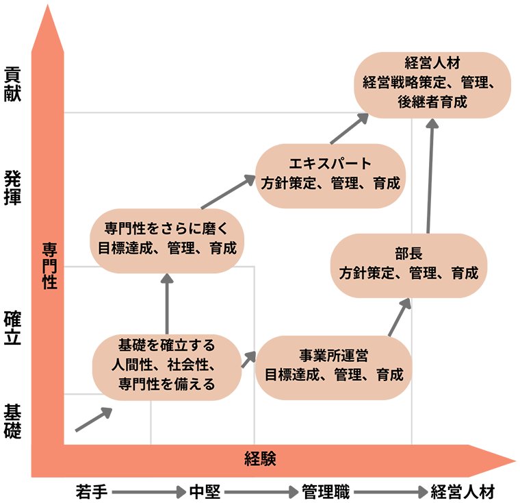 孫の手　キャリア イメージ